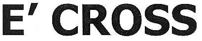 E' Cross Device mark 1827483 Trademark