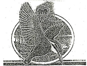 Flying Bird ( Label) Device mark 1909886 Trademark