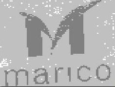 Marico (label) Device mark 1361480 Trademark