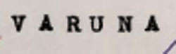 V A R U N A Device mark 594460 Trademark