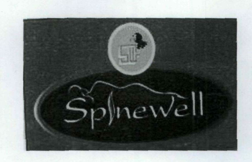 Spinewell Device mark 1937407 Trademark