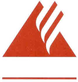 Device Device mark 2453802 Trademark