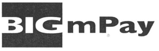 Bigmpay Device mark 1659395 Trademark