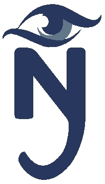 N (logo) Device mark 2999619 Trademark