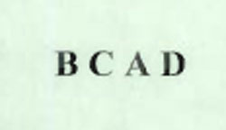 Bcad Device mark 1536862 Trademark