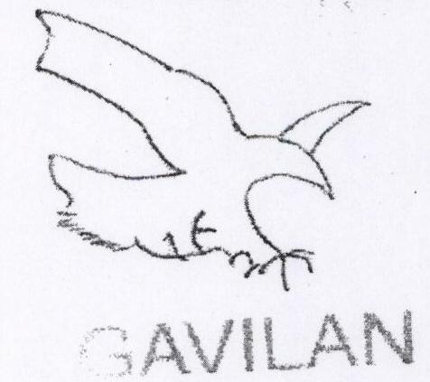 Gavilan With Device Device mark 1698143 Trademark
