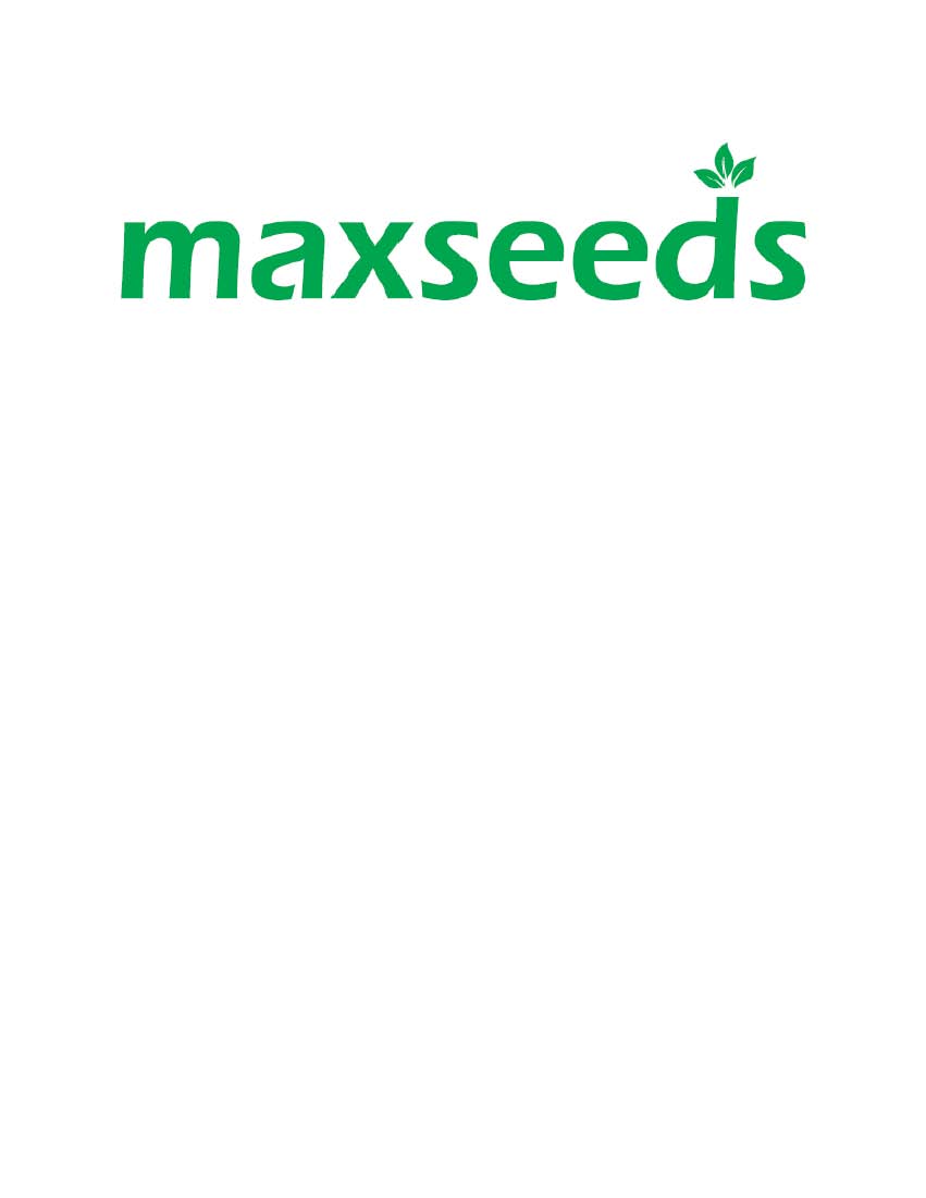 Maxseeds Device mark 1858401 Trademark
