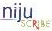 Niju Scribe Device mark 2056450 Trademark