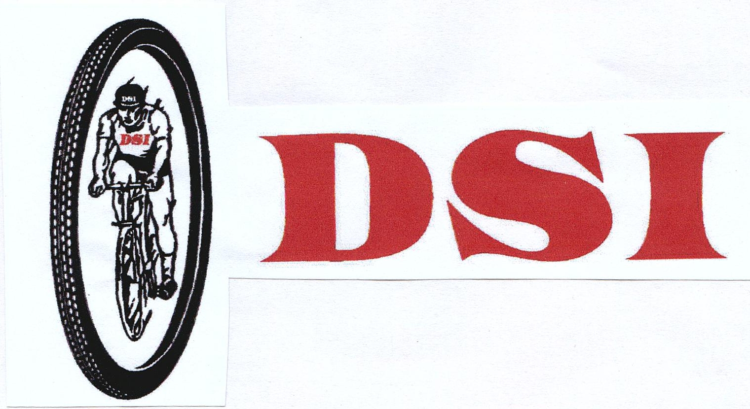 Dsi Device mark 1643571 Trademark