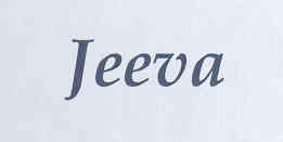 Jeeva Device mark 1590144 Trademark