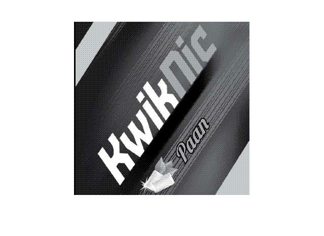 Kwiknic Paan Device mark 2596084 Trademark