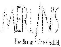 Merlin S Device mark 818946 Trademark
