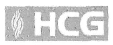 Hcg (device) Device mark 2695398 Trademark