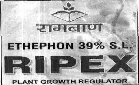 Ripex With Device Device mark 2075054 Trademark