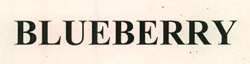Blueberry Device mark 2509714 Trademark