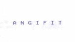 Angifit Device mark 1052860 Trademark