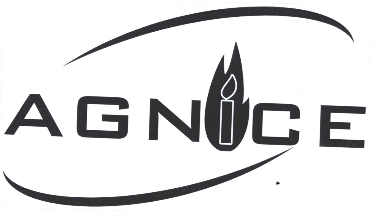 Agnice Device mark 2189190 Trademark