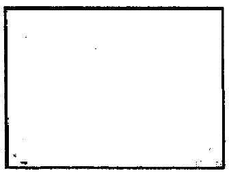 Bulls Head Device mark 531759 Trademark