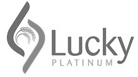 Lucky Platinum Device mark 2919819 Trademark