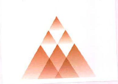 Device Of Triangle Device mark 2502250 Trademark