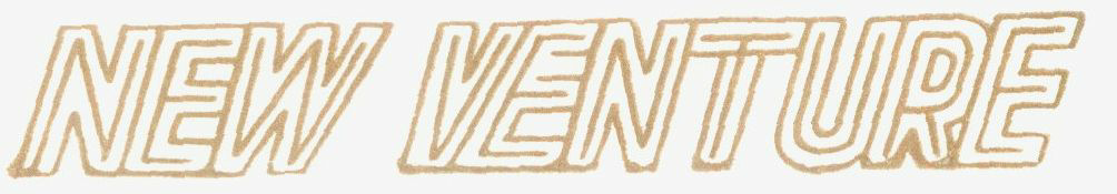 New Venture Device mark 923259 Trademark