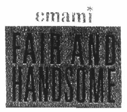 Emami Fair And Handsome (label) Device mark 1371856 Trademark