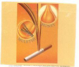 Smooth Champ(logo) Device mark 1546407 Trademark