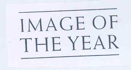Image Of The Year (letter Underlined And Overlined) Device mark 1566108 Trademark