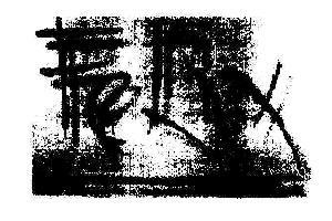 Felix Device mark 1695931 Trademark