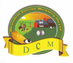 D C M Device mark 1821355 Trademark