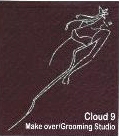 Cloud 9 Make Over/grooming Studio (label) Device mark 1565219 Trademark