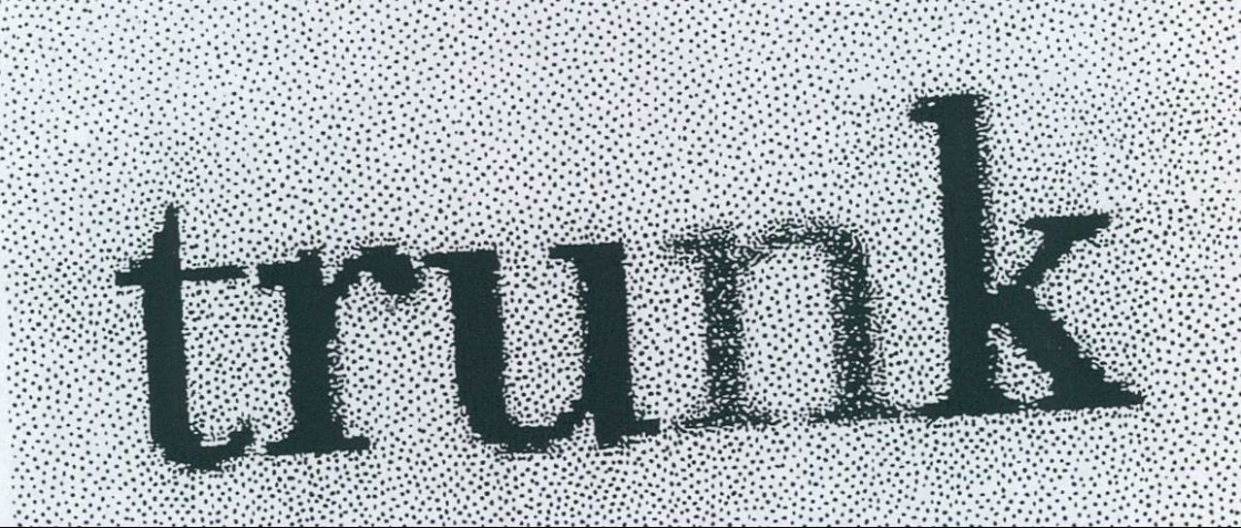 Trunk Device mark 1981230 Trademark