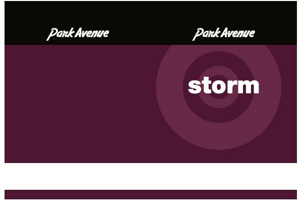 Park Avenue Storm Device mark 1965085 Trademark