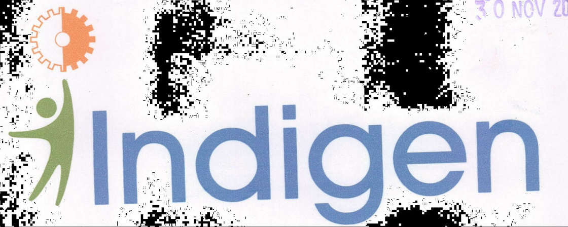 Indigen Device mark 2061016 Trademark
