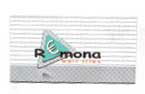 Remona Device mark 2222462 Trademark