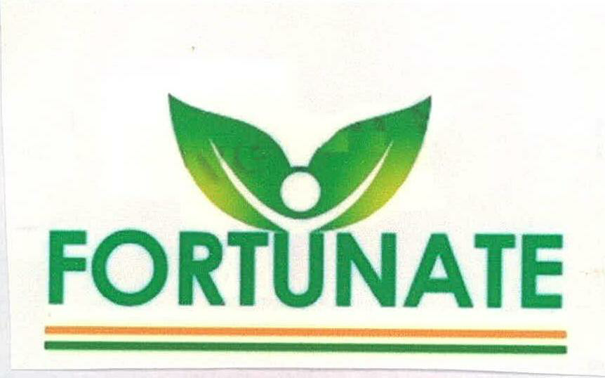 Fortunate Device mark 2235676 Trademark