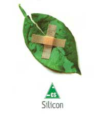 Silicon With Device Of Leaf Device mark 2256685 Trademark