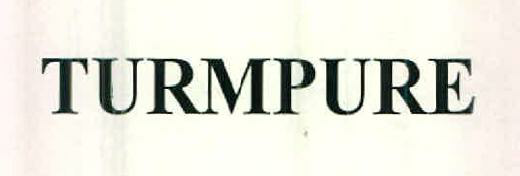 Turmpure Device mark 2527264 Trademark