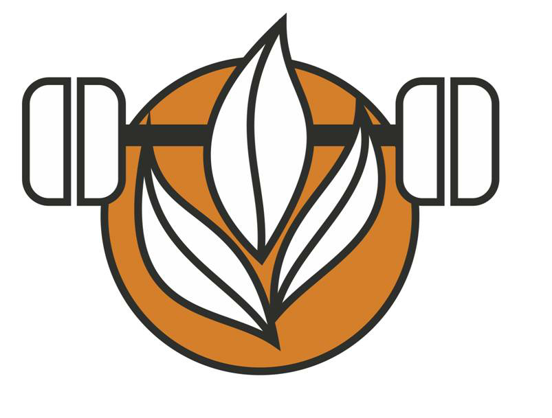 Logo Device mark 2581257 Trademark