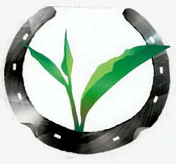 Device Of Leaf Device mark 2435951 Trademark