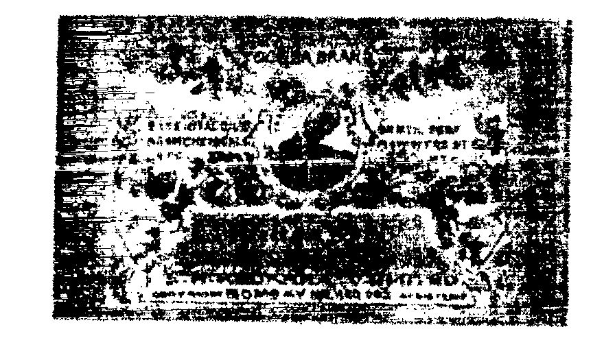 Paragon Device mark 410917 Trademark