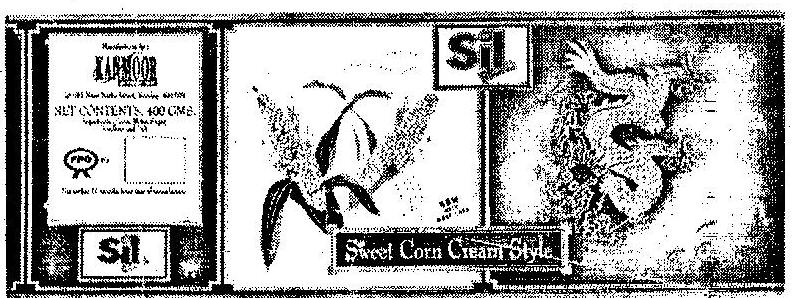 Sil Device mark 598376 Trademark