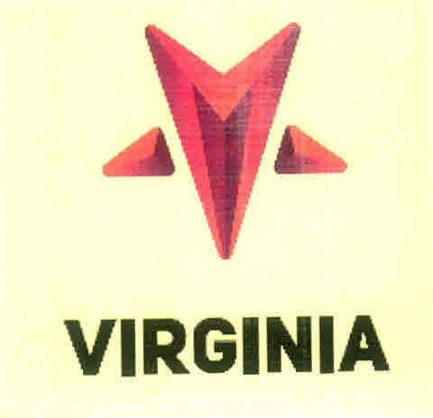 Virginia Device mark 3003513 Trademark