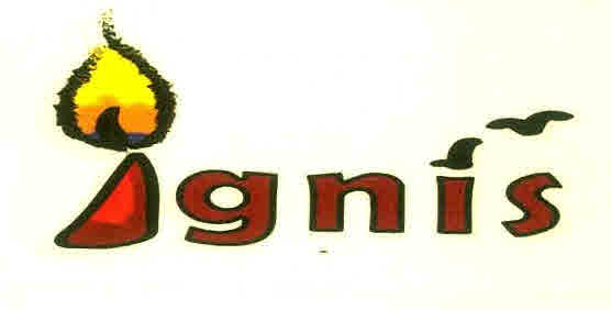 Ignis Device mark 3023672 Trademark