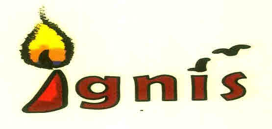 Ignis Device mark 3023675 Trademark