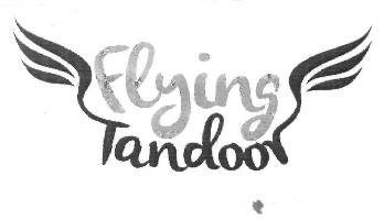 Flying Tandoor Device mark 3041552 Trademark
