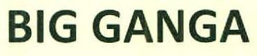 Big Ganga Device mark 3041027 Trademark