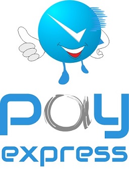 Pay Express Device mark 3049048 Trademark