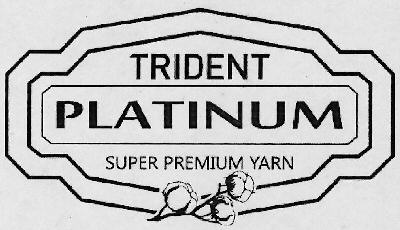 Trident Platinum Device mark 3064890 Trademark