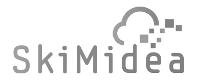 Skimidea Device mark 3065952 Trademark